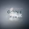 Gone Girl (Soundtrack From The Motion Picture) Mp3
