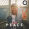 Peace CD1 Mp3