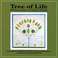 Tree Of Life (With Barry Phillips) Mp3