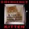 In Case Of Emergency (CDS) Mp3