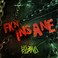 Fkn Insane (CDS) Mp3