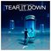 Tear It Down (CDS) Mp3
