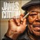The Best Of James Cotton: The Alligator Records Years Mp3