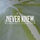 Never Knew (CDS) Mp3