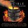 Crucible: The Songs Of Hunters & Collectors CD2 Mp3