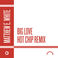 Big Love (Hot Chip Remix) (CDS) Mp3