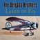 Learn To Fly Mp3