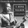 Charly Blues Masterworks: T-Bone Walker (T.Bone Shuffle) Mp3