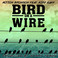 Bird On A Wire (CDS) Mp3