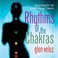 Rhythms Of The Chakras Mp3