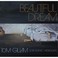 Beautiful Dream (With The Kosmic Messengers) Mp3