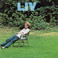 Liv (Vinyl) Mp3