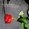 The Red, Red Rose (EP) Mp3