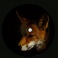 Foxology (EP) Mp3