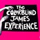 The Colorblind James Experience Mp3