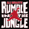 Rumble In The Jungle Mp3