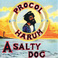 A Salty Dog (Deluxe Edition) CD1 Mp3