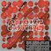 The Way Of Curve 1990 / 2004 CD1 Mp3