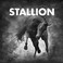 Stallion 001 Mp3