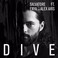 Dive (Feat. Enya & Alex Aris) (CDS) Mp3