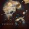 Bones Of Man / Blood (CDS) Mp3