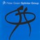 Peter Green Splinter Group Mp3