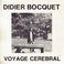 Voyage Cerebral (Vinyl) Mp3