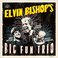 Elvin Bishop's Big Fun Trio Mp3
