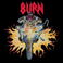 Burn (Vinyl) Mp3