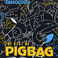 The Best Of Pigbag Mp3