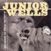 Live Around The World: The Best Of Junior Wells Mp3