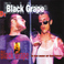 Black Grape. In The Name Of The Father (Live) Mp3