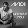 Without You (Feat. Sandro Cavazza) (CDS) Mp3