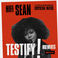 Testify (Feat. Crystal Waters) (CDR) Mp3