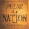 Pulse Of A Nation Mp3