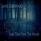 Dark Tales From The Woods Mp3