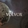 Volvox Mp3