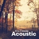 Acoustic Mp3
