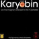 Karyobin (Vinyl) Mp3
