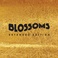 Blossoms (Extended Edition) Mp3