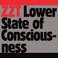 Lower State Of Consciousness Mp3