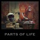 Parts Of Life Mp3