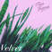 Velvet (EP) Mp3