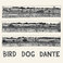 Bird Dog Dante Mp3