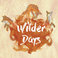 Wilder Days Mp3
