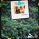 Rain Forest (With Eddie Gomez) (Vinyl) Mp3