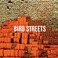 Bird Streets Mp3