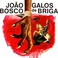 Galos De Briga (Vinyl) Mp3