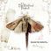 Beyond The Butterfly Mp3