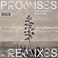 Promises (Remixes) Mp3